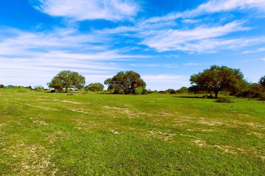 203.99 acres in Lavaca County - photo 25