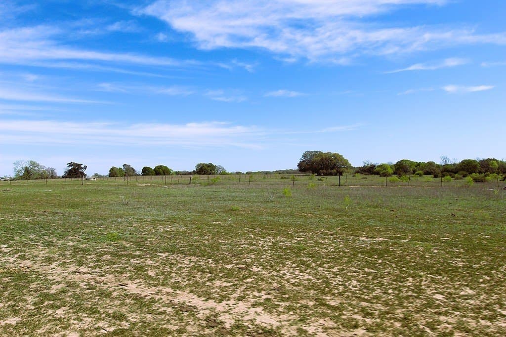 203.99 acres in Lavaca County - photo 23