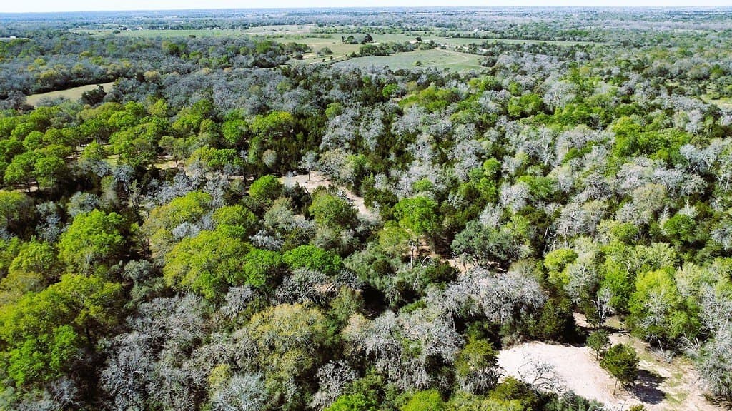 203.99 acres in Lavaca County - photo 14