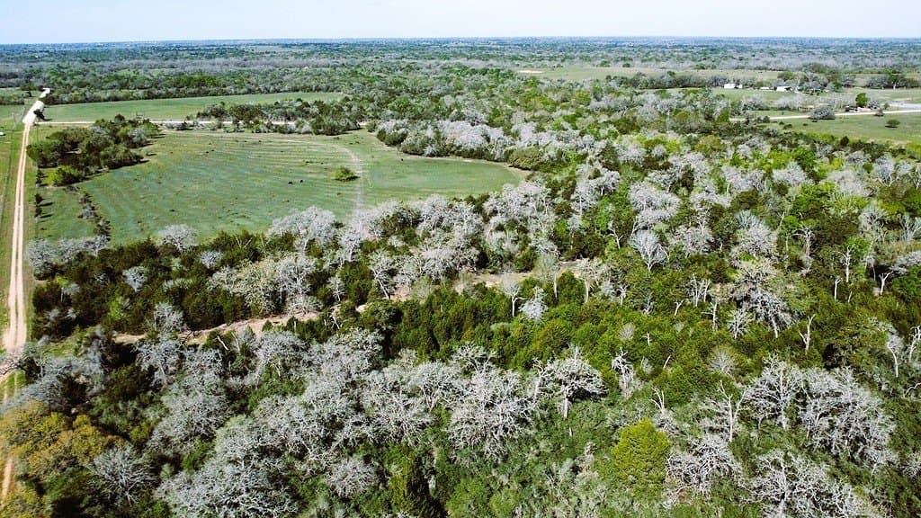203.99 acres in Lavaca County - photo 17