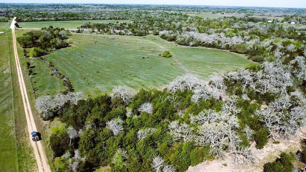 203.99 acres in Lavaca County - photo 15