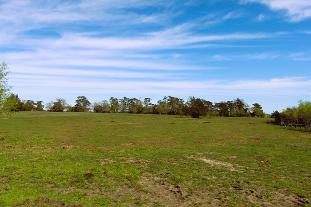 203.99 acres in Lavaca County - photo 21