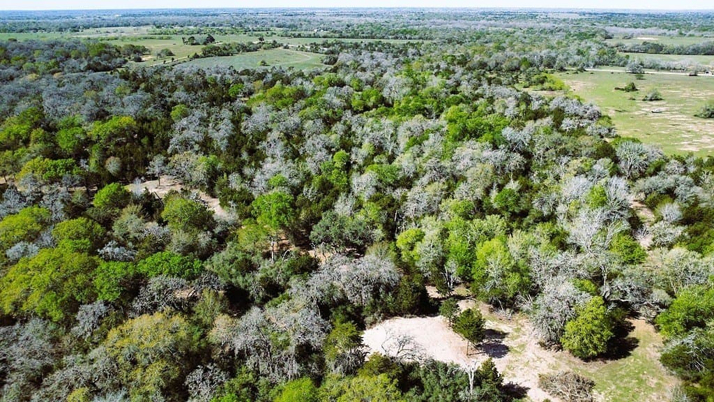 203.99 acres in Lavaca County - photo 26