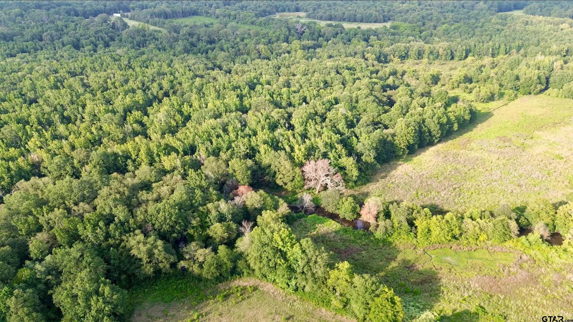 8.1 acres in Camp County - photo 5