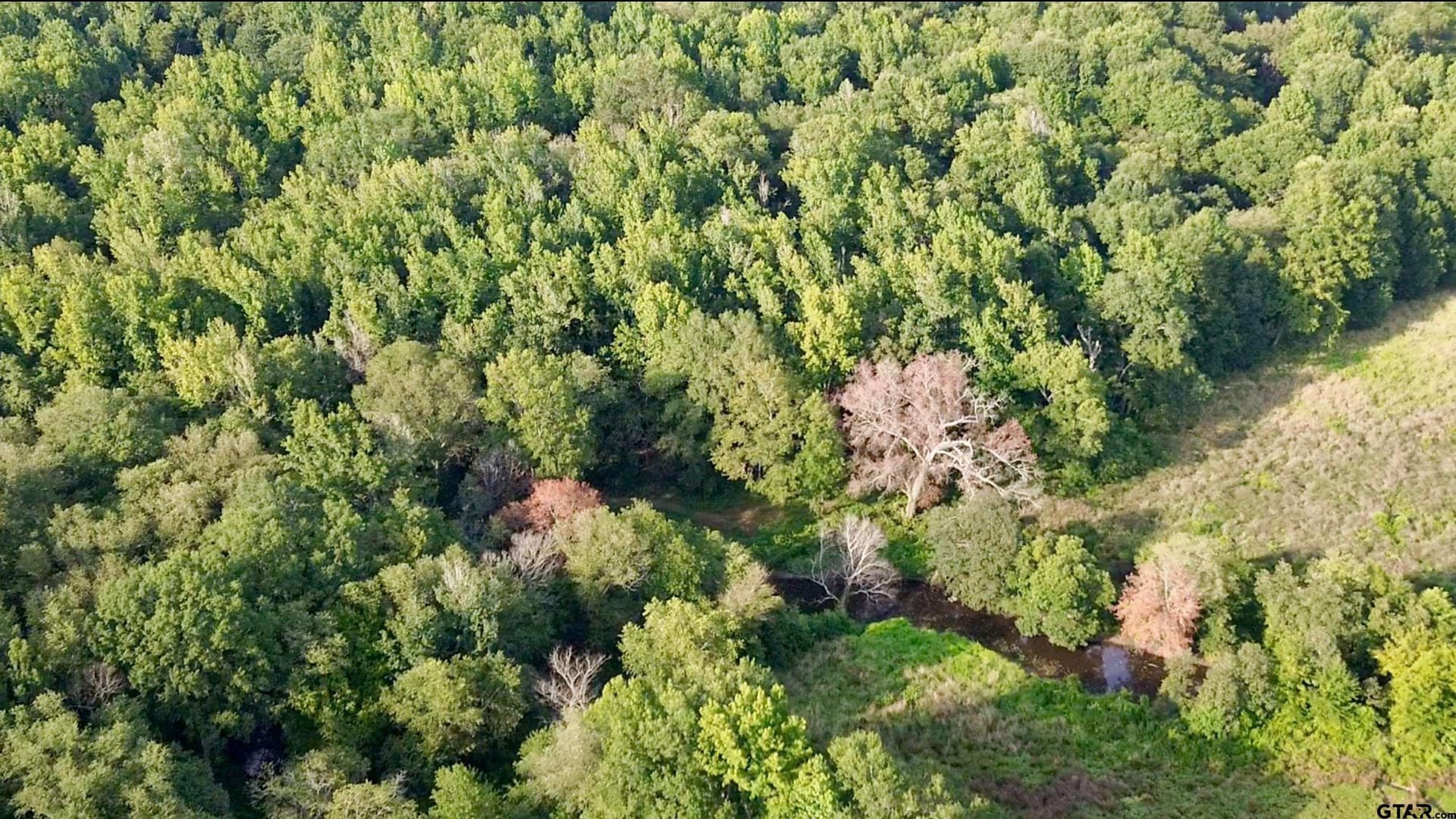 8.1 acres in Camp County - photo 3
