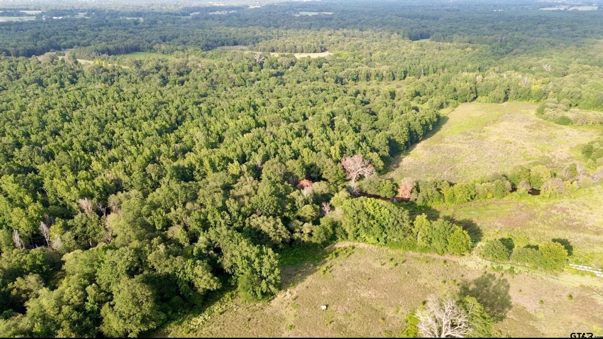 8.1 acres in Camp County - photo 2
