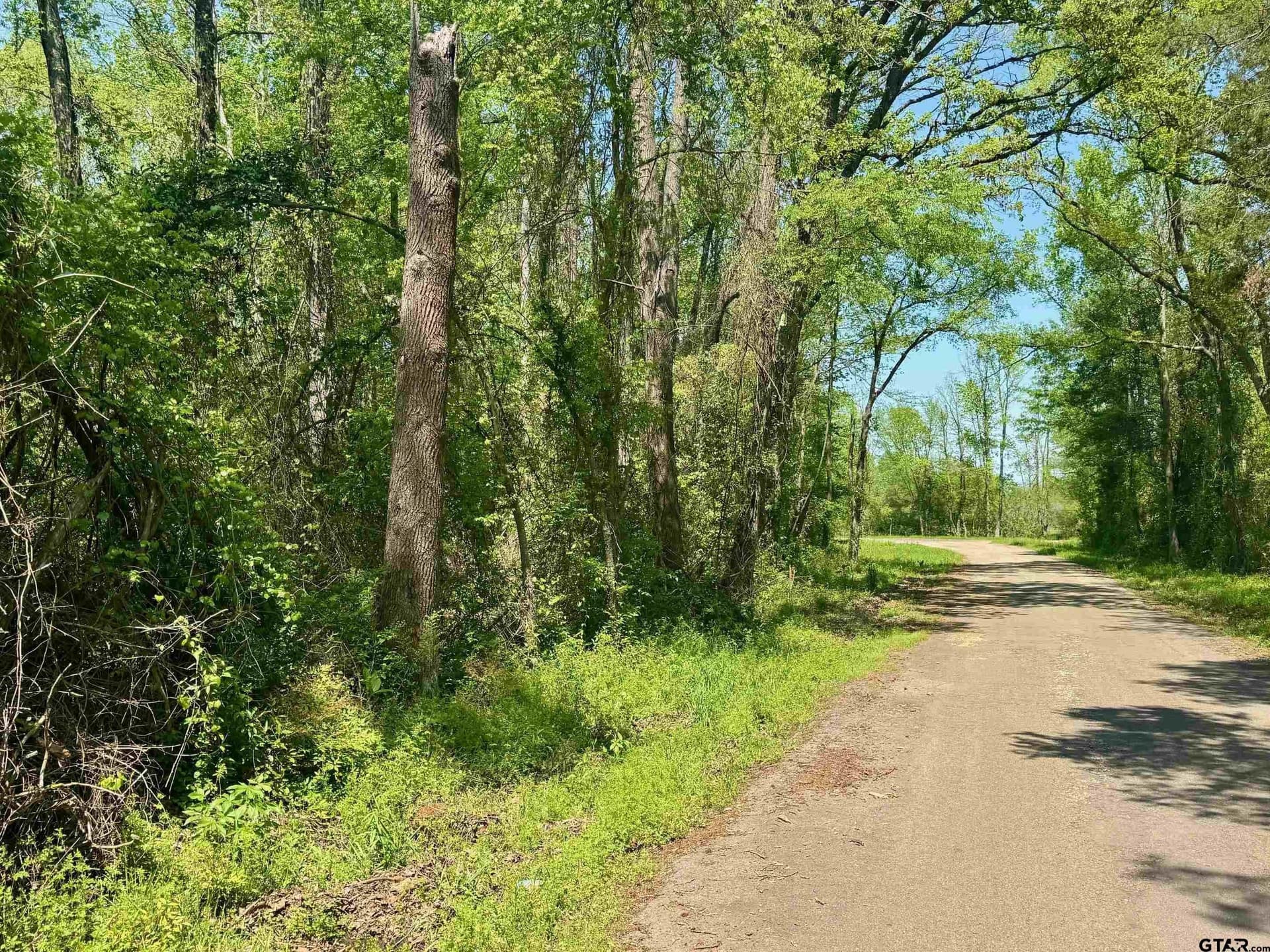 5.65 acres in Titus County - photo 14