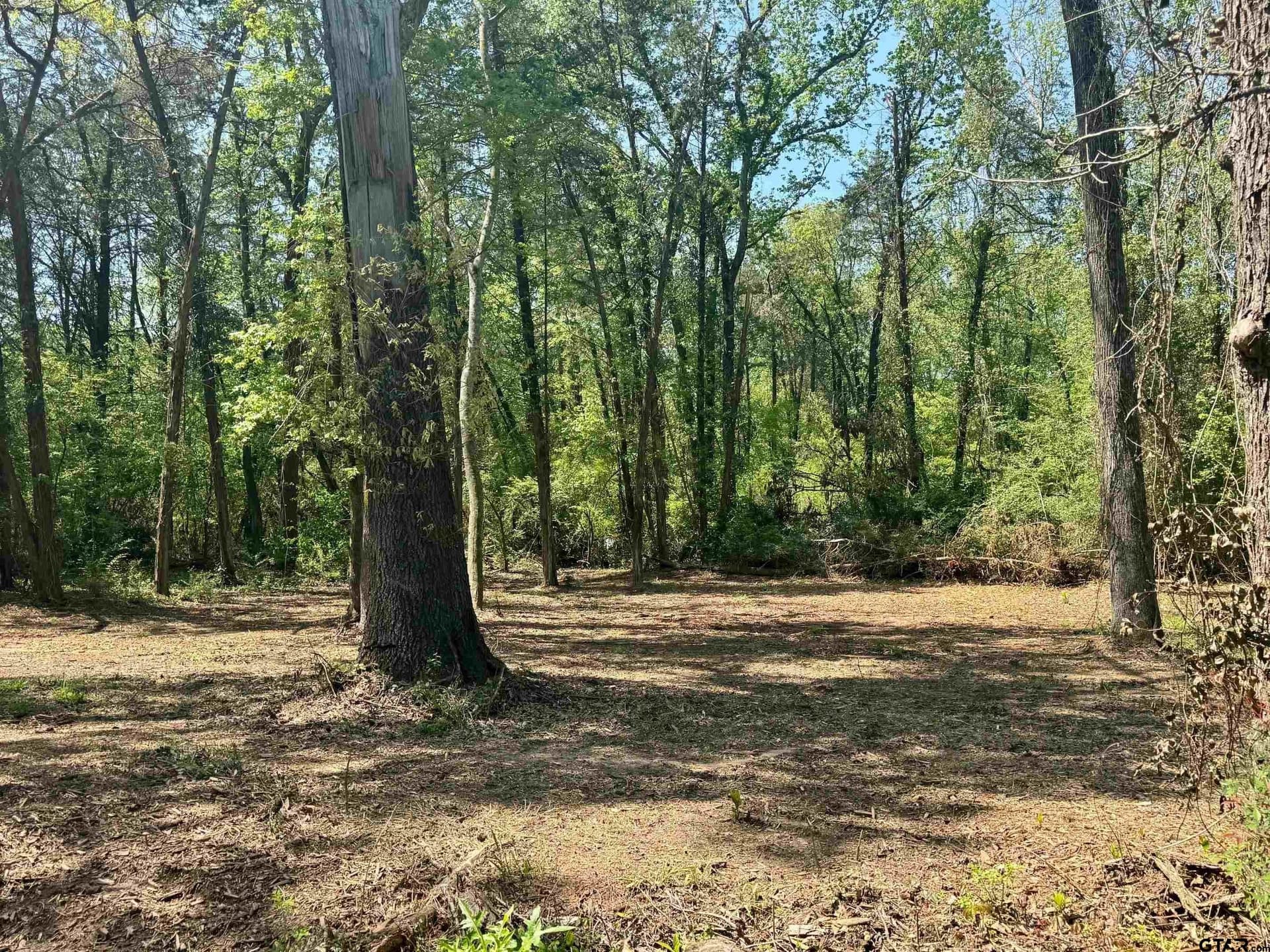 5.65 acres in Titus County - photo 11