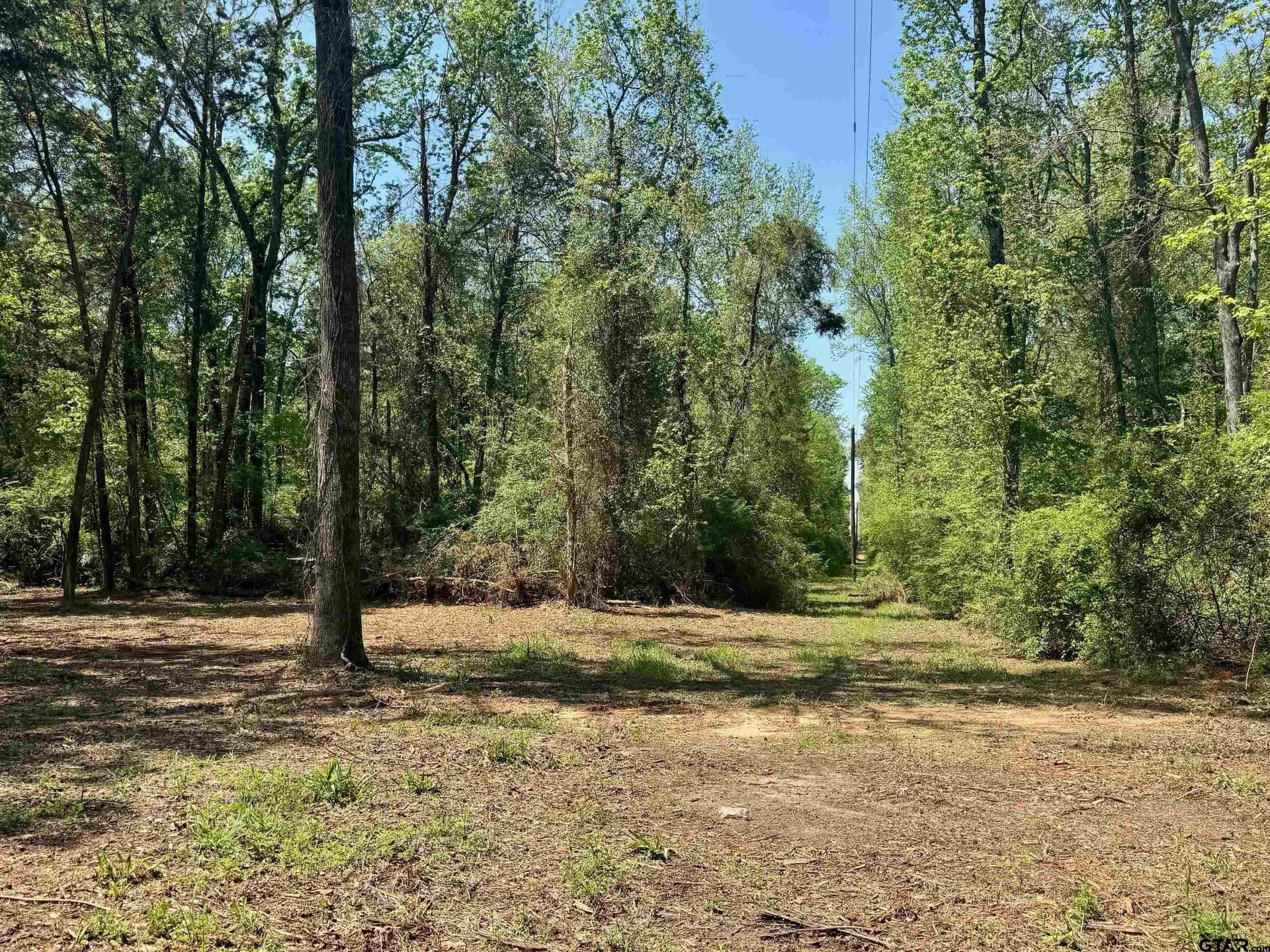 5.65 acres in Titus County - photo 13