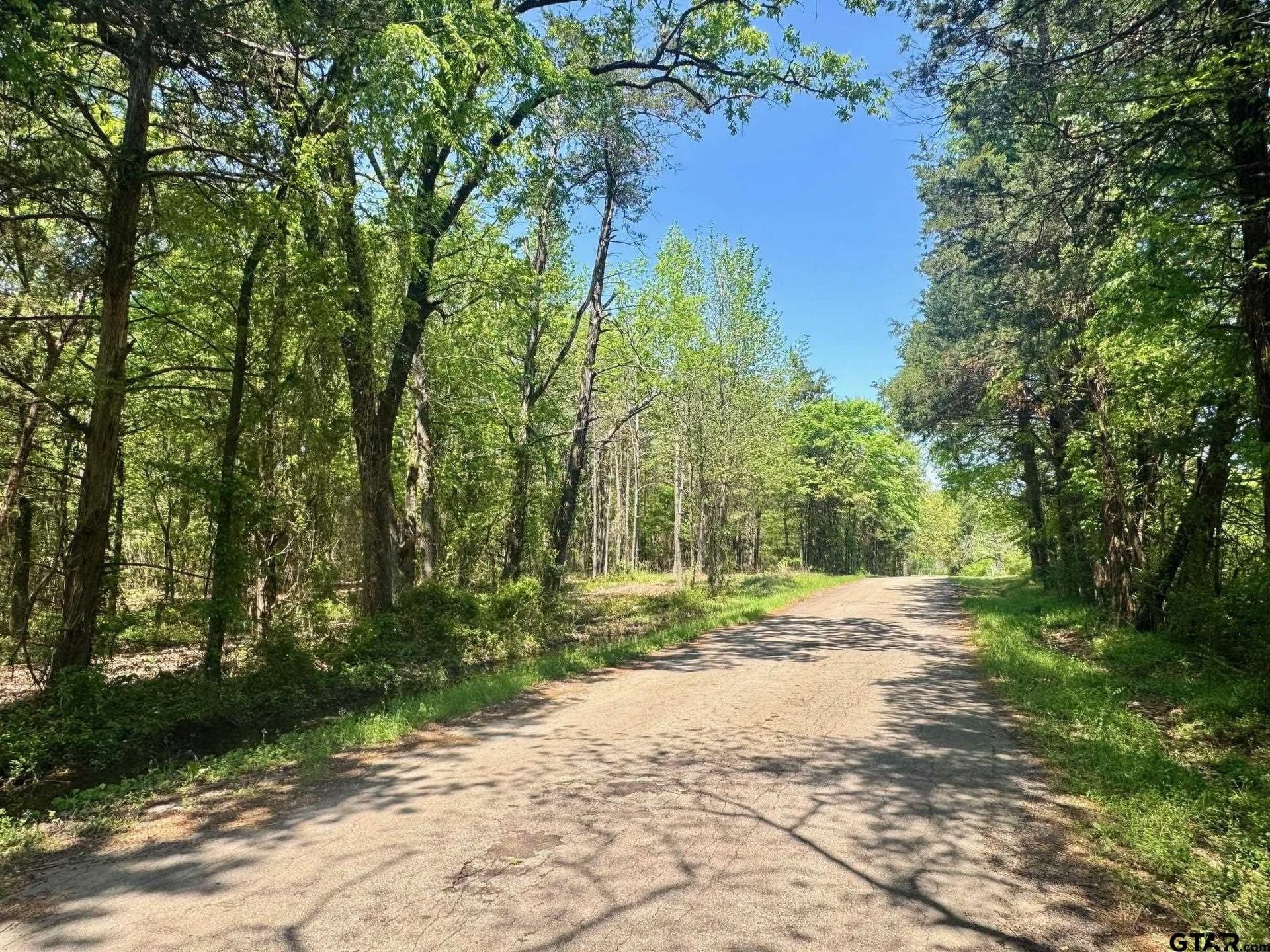 5.65 acres in Titus County - photo 16
