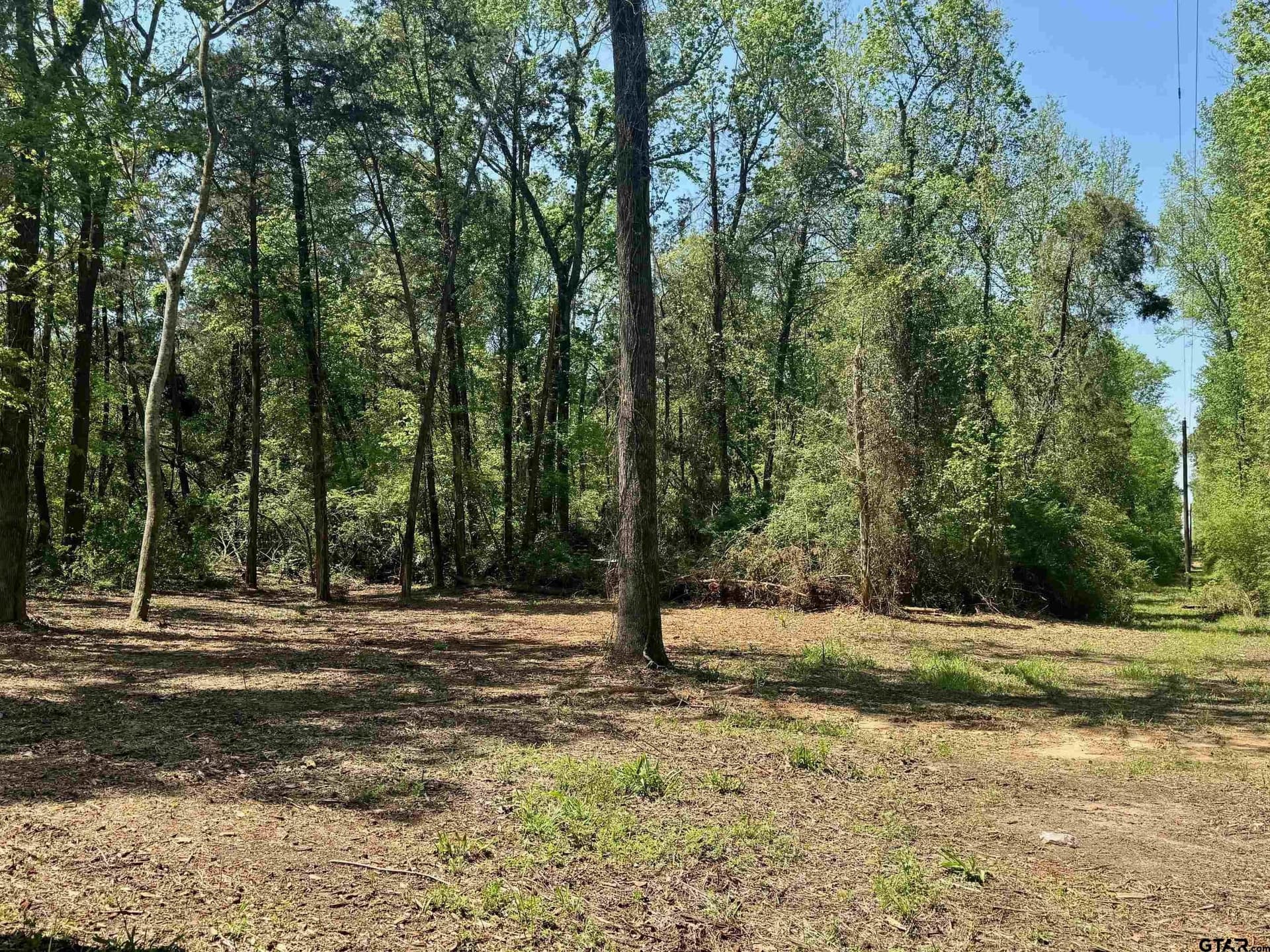 5.65 acres in Titus County - photo 12