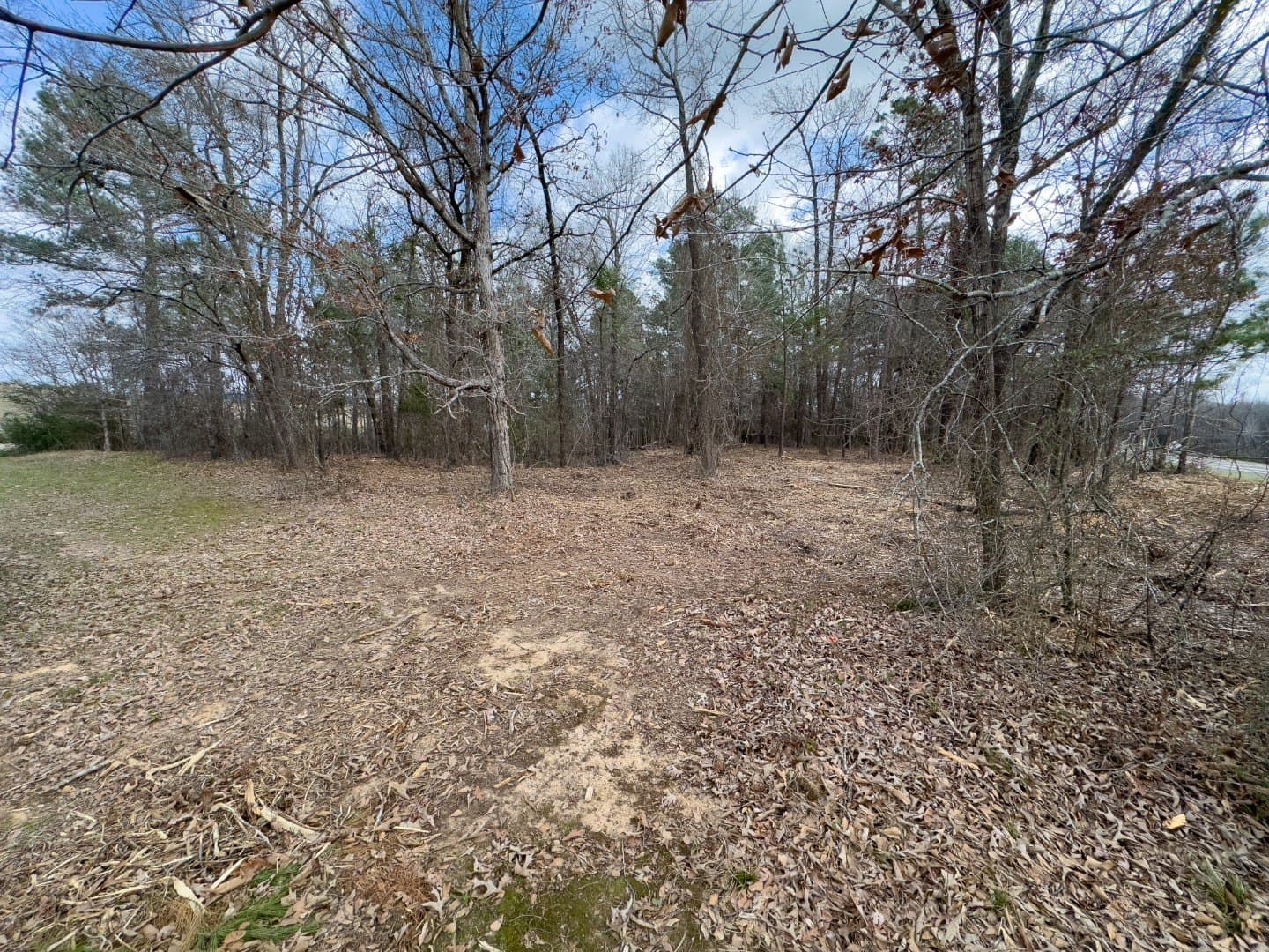 3.79 acres in Gregg County gallery image 4