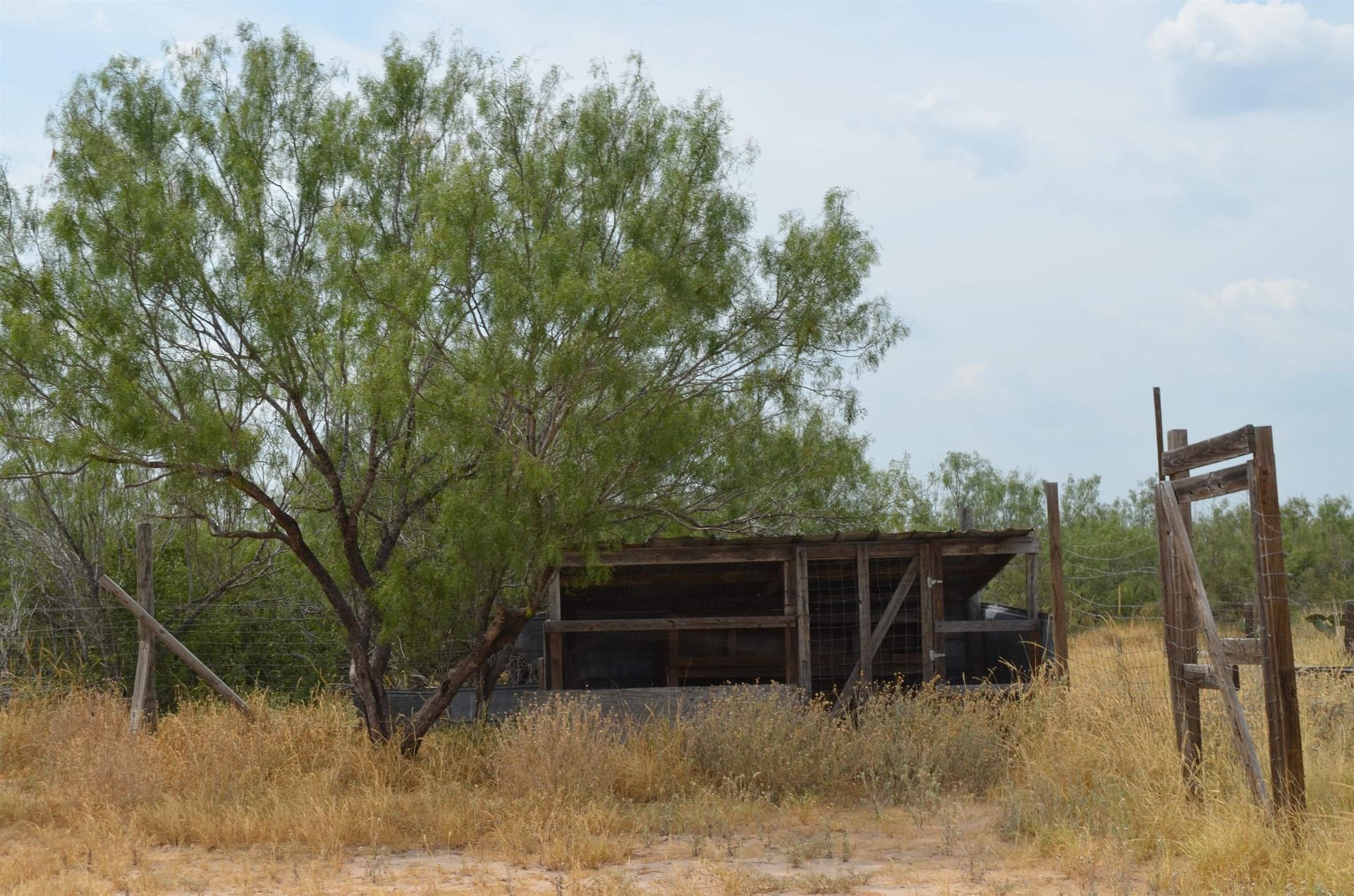 10 acres in Webb County - photo 17