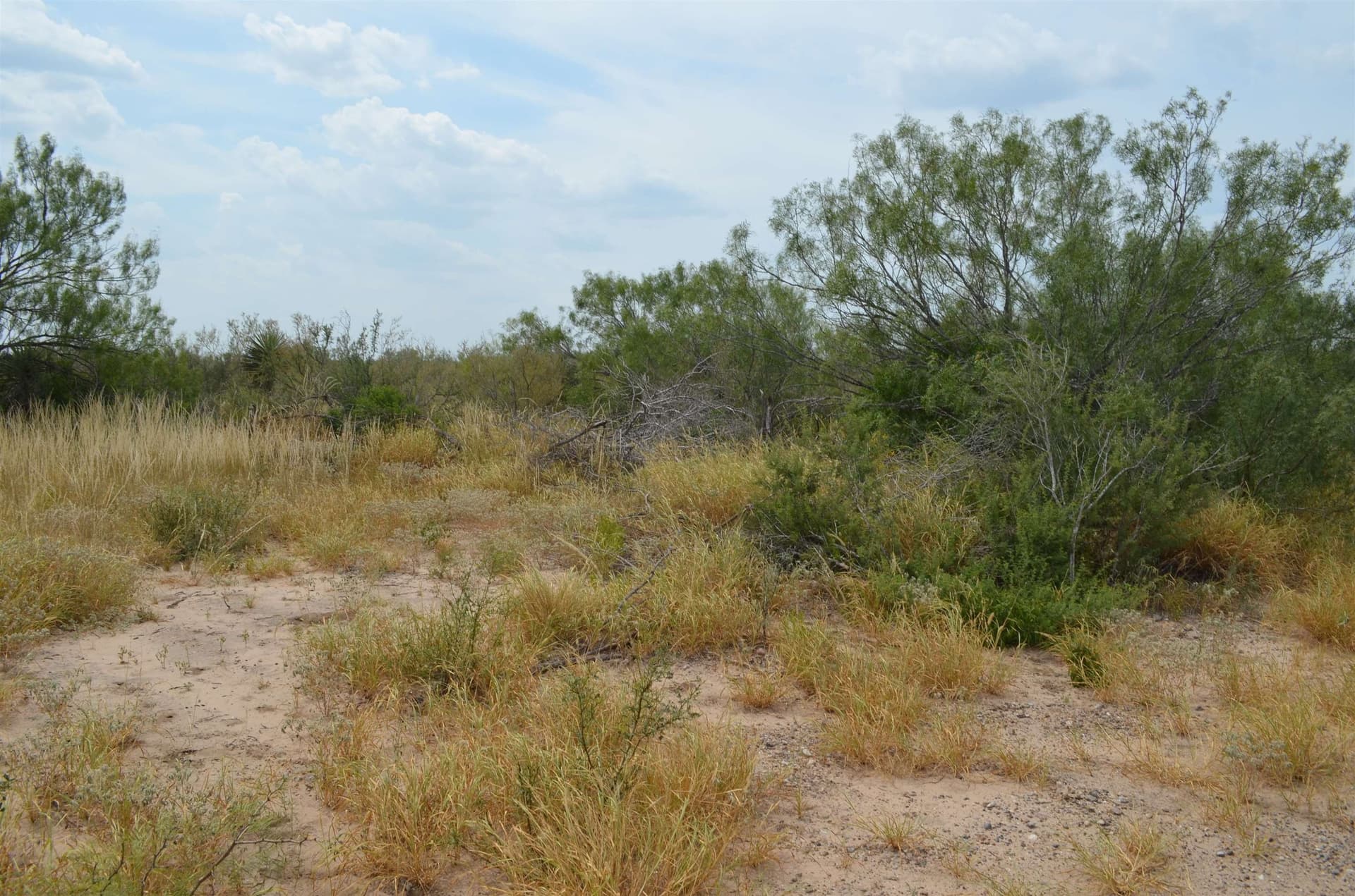 10 acres in Webb County - photo 26
