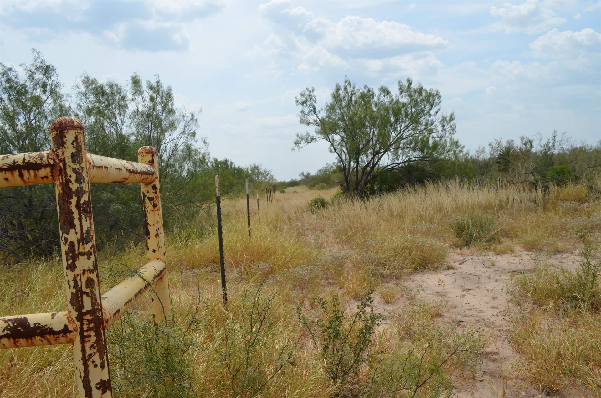 10 acres in Webb County - photo 25