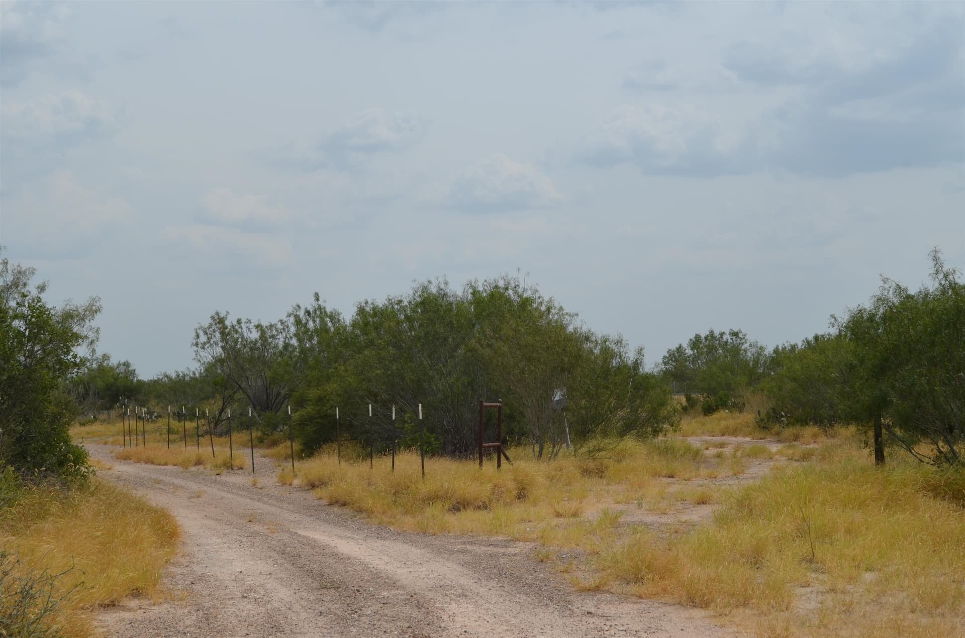 10 acres in Webb County gallery image 4