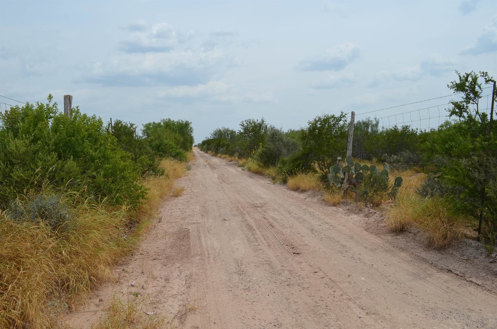 10 acres in Webb County gallery image 3