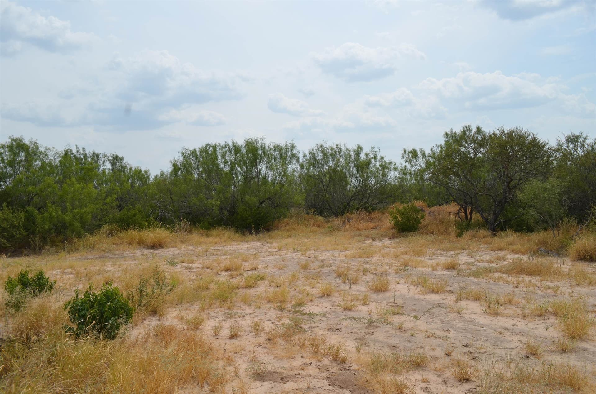 10 acres in Webb County - photo 21