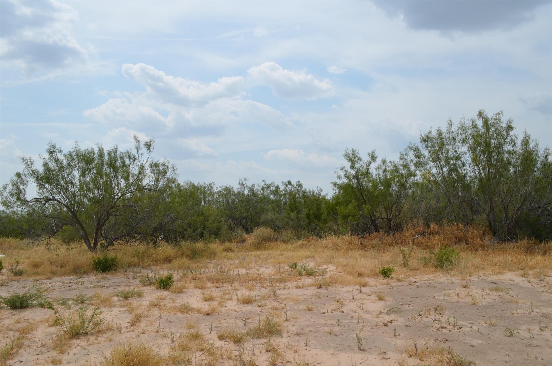10 acres in Webb County - photo 20