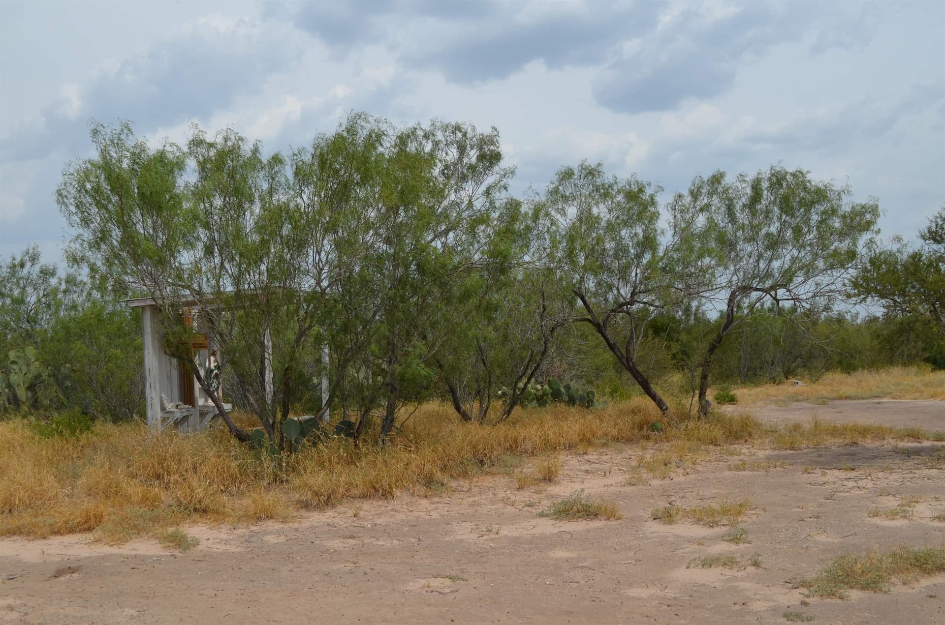 10 acres in Webb County - photo 15
