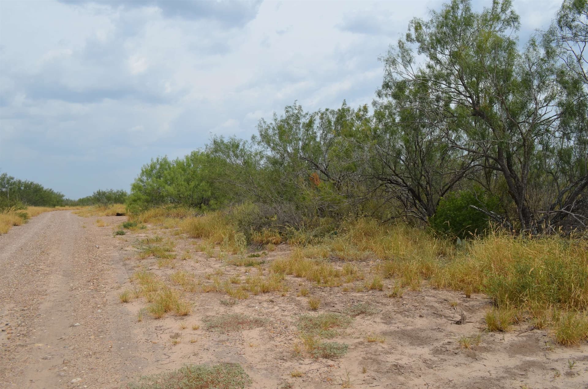 10 acres in Webb County - photo 23