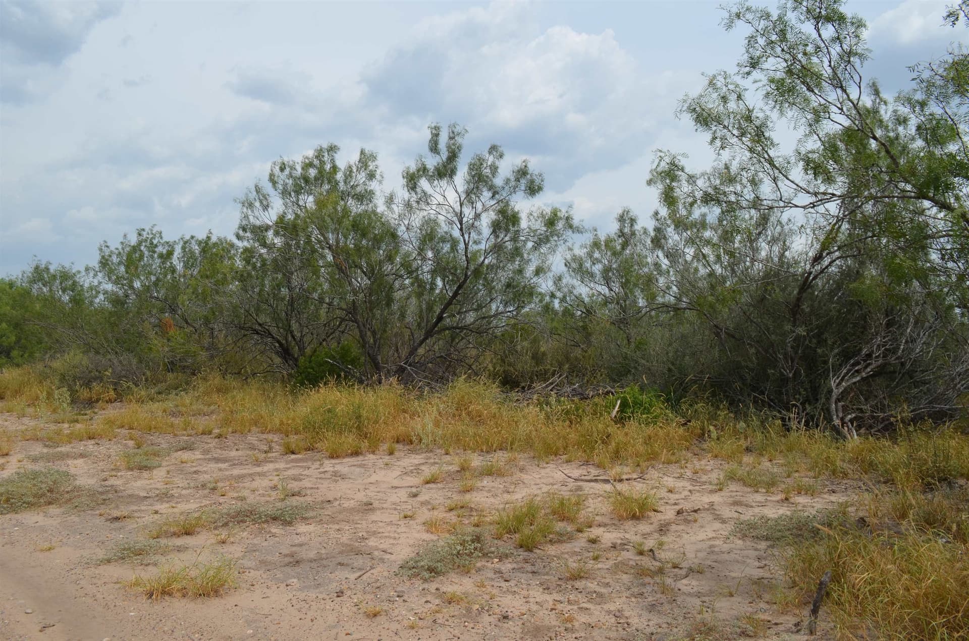 10 acres in Webb County - photo 19