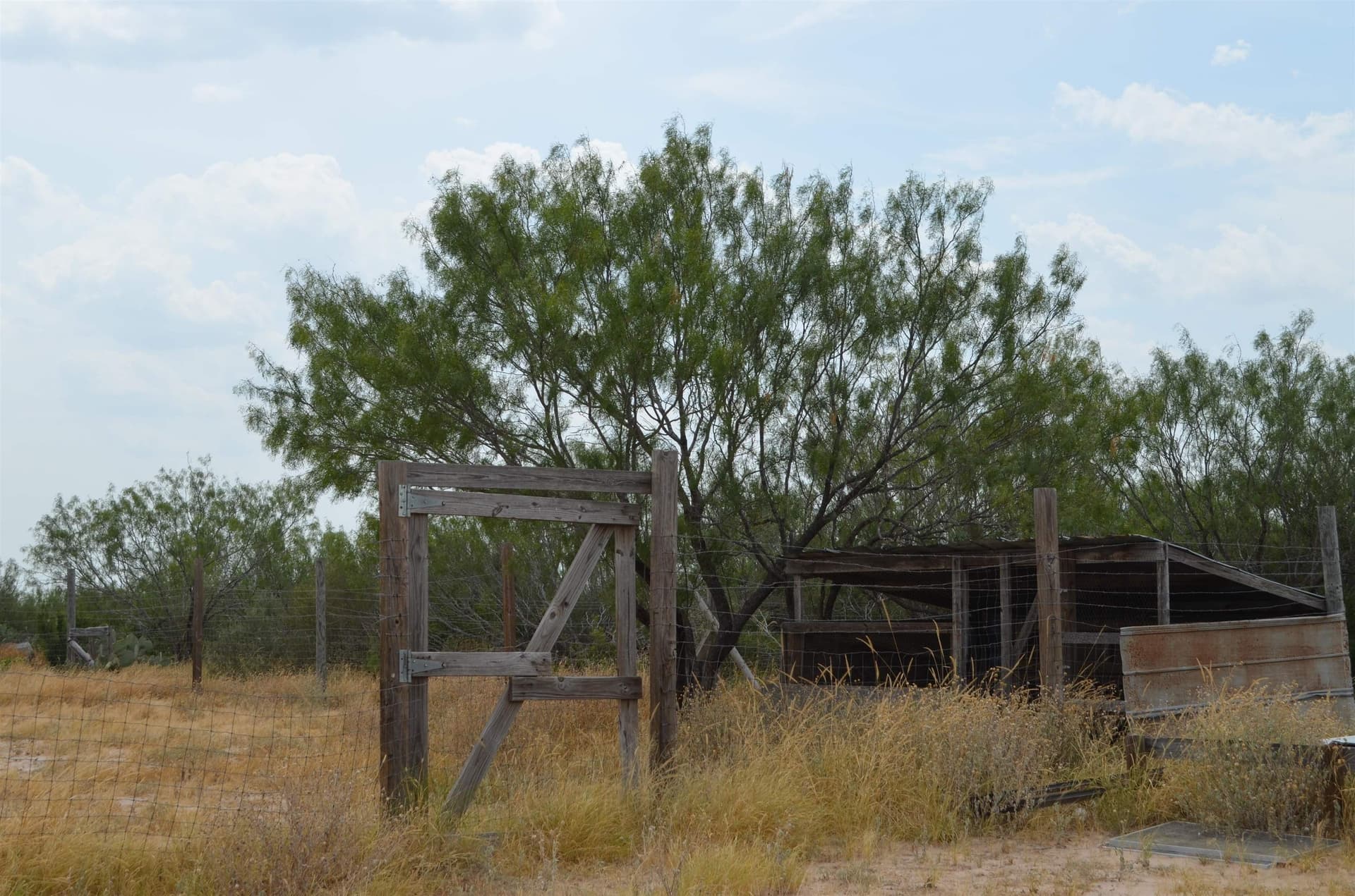 10 acres in Webb County - photo 16