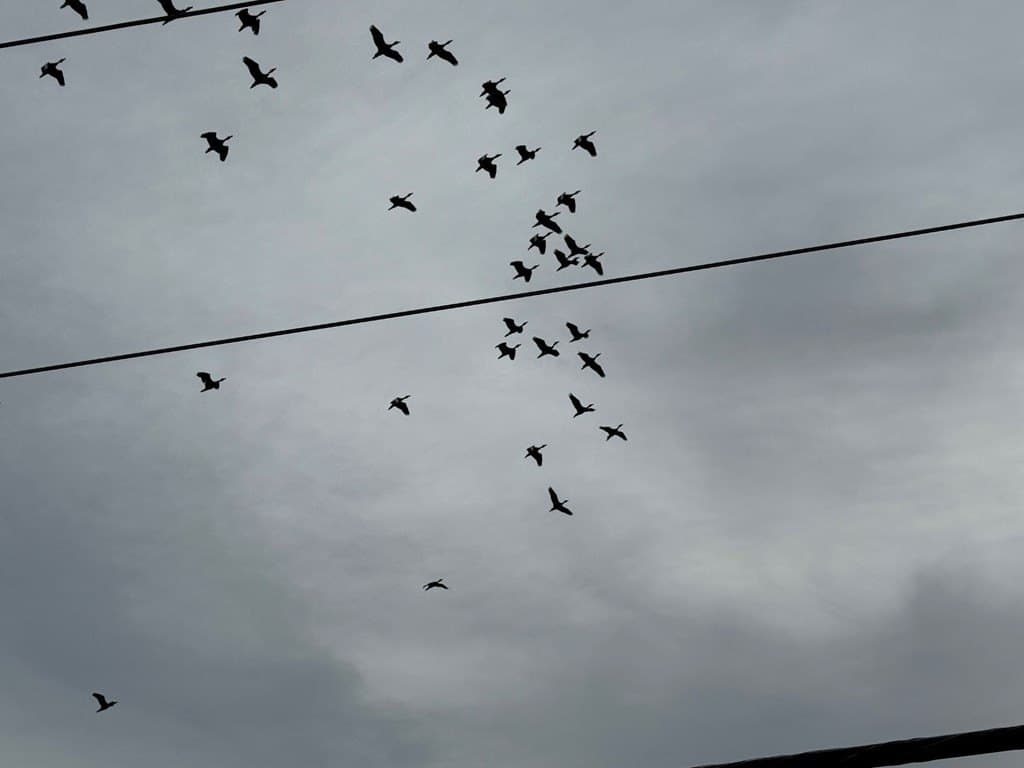 28.94 acres in Texas County featured view