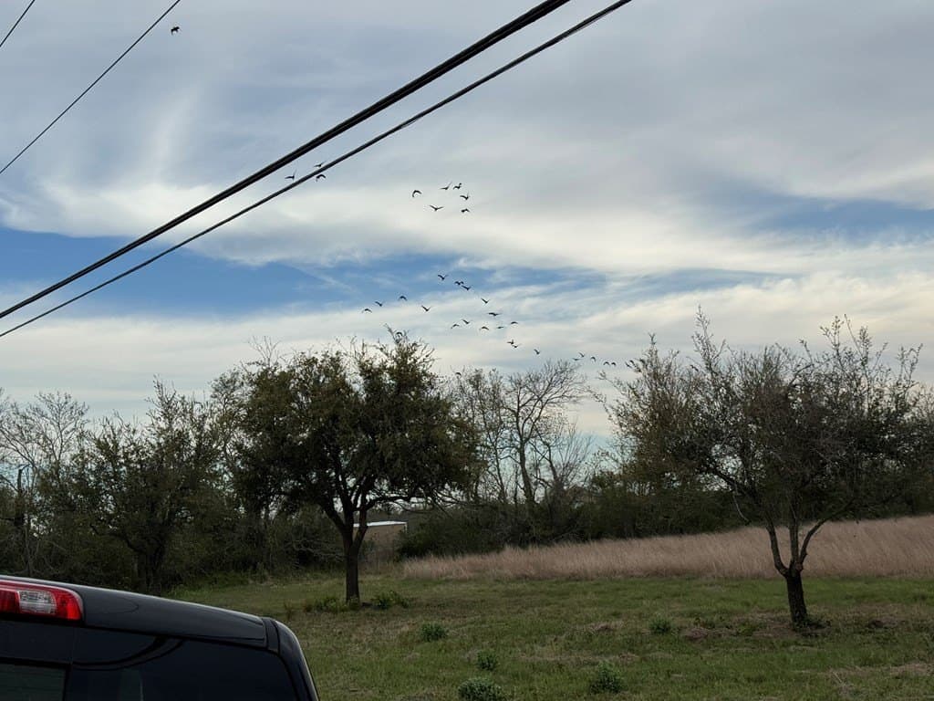 28.94 acres in Texas County gallery image 4