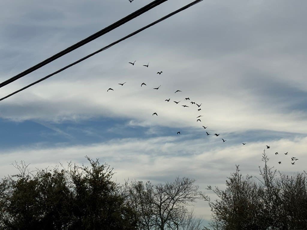 28.94 acres in Texas County gallery image 3