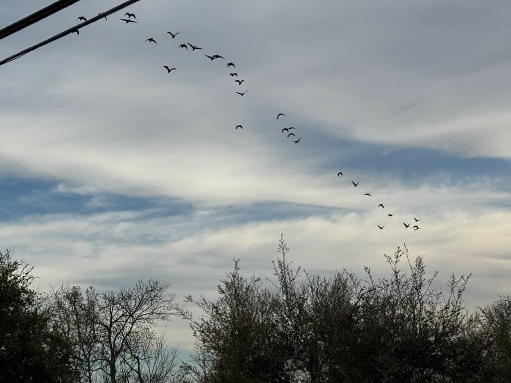 28.94 acres in Texas County gallery image 2