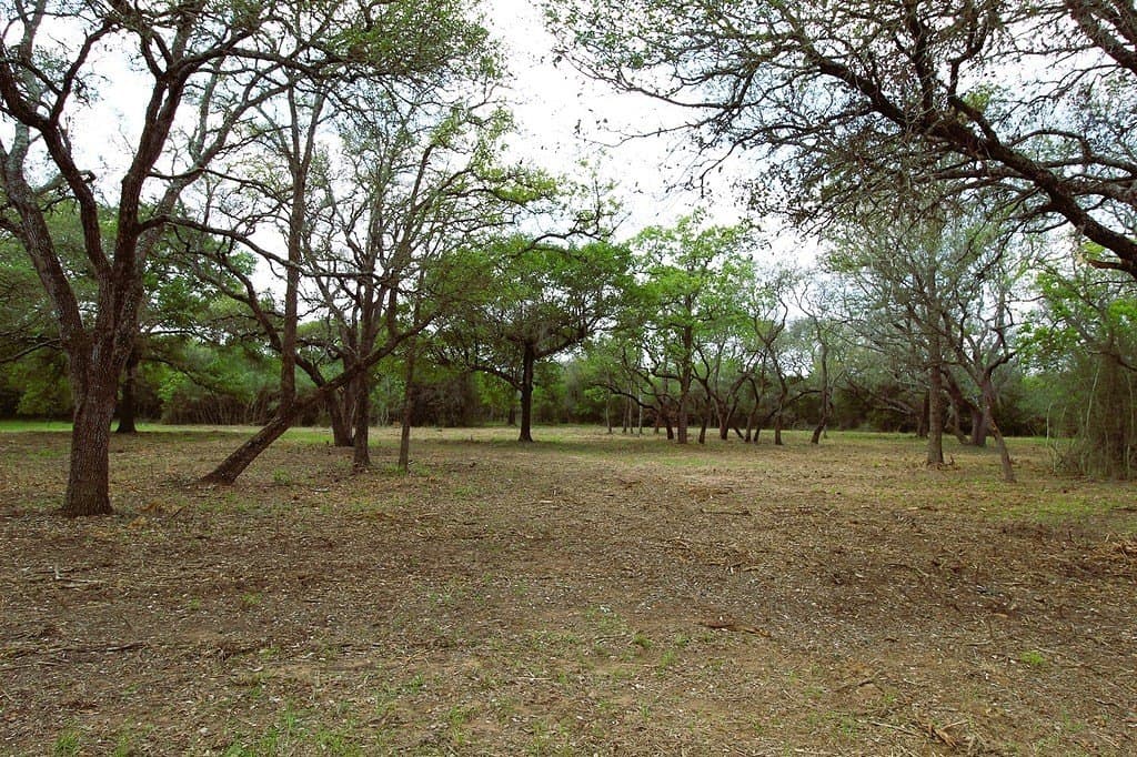 22.86 acres in Colorado County gallery image 3