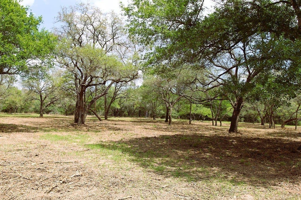 22.86 acres in Colorado County