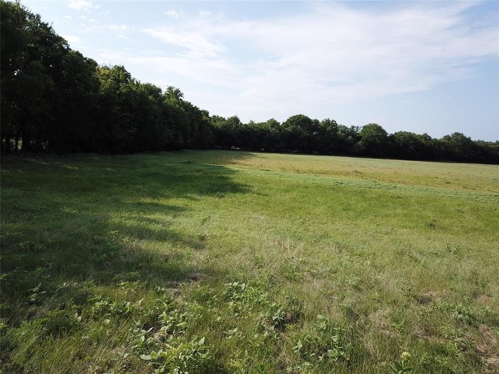 38.44 acres in Grayson County gallery image 4