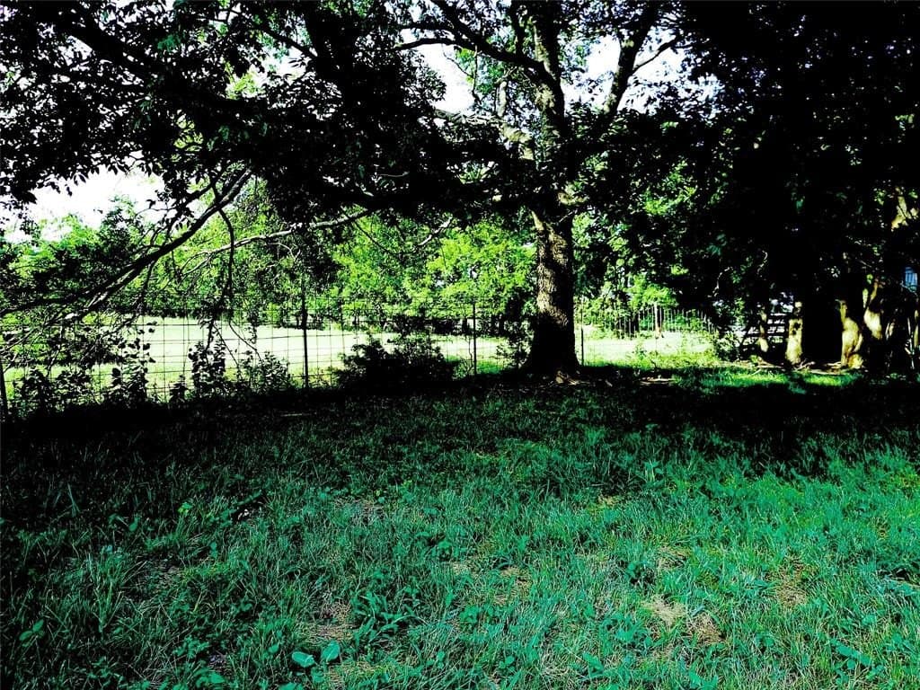 38.44 acres in Grayson County featured view