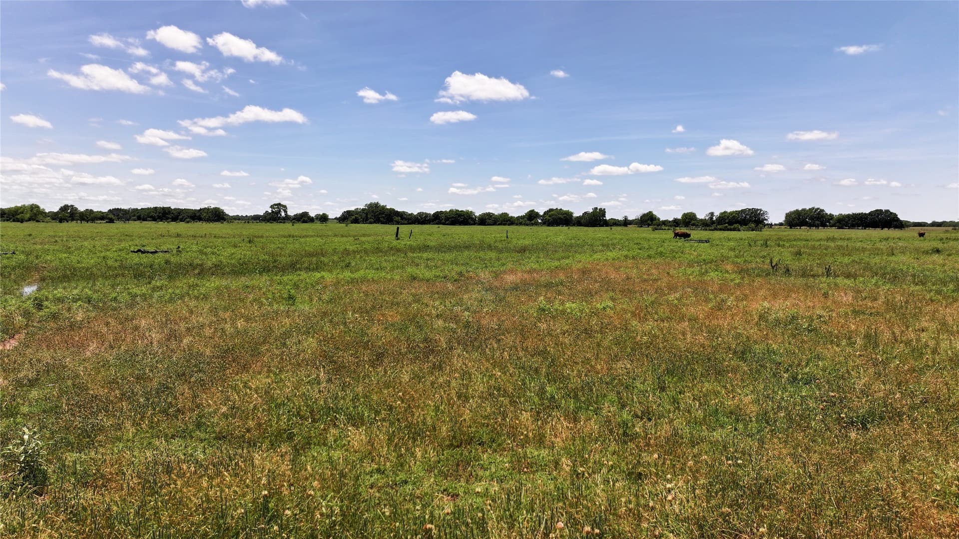 59.75 acres in Montague County - photo 14