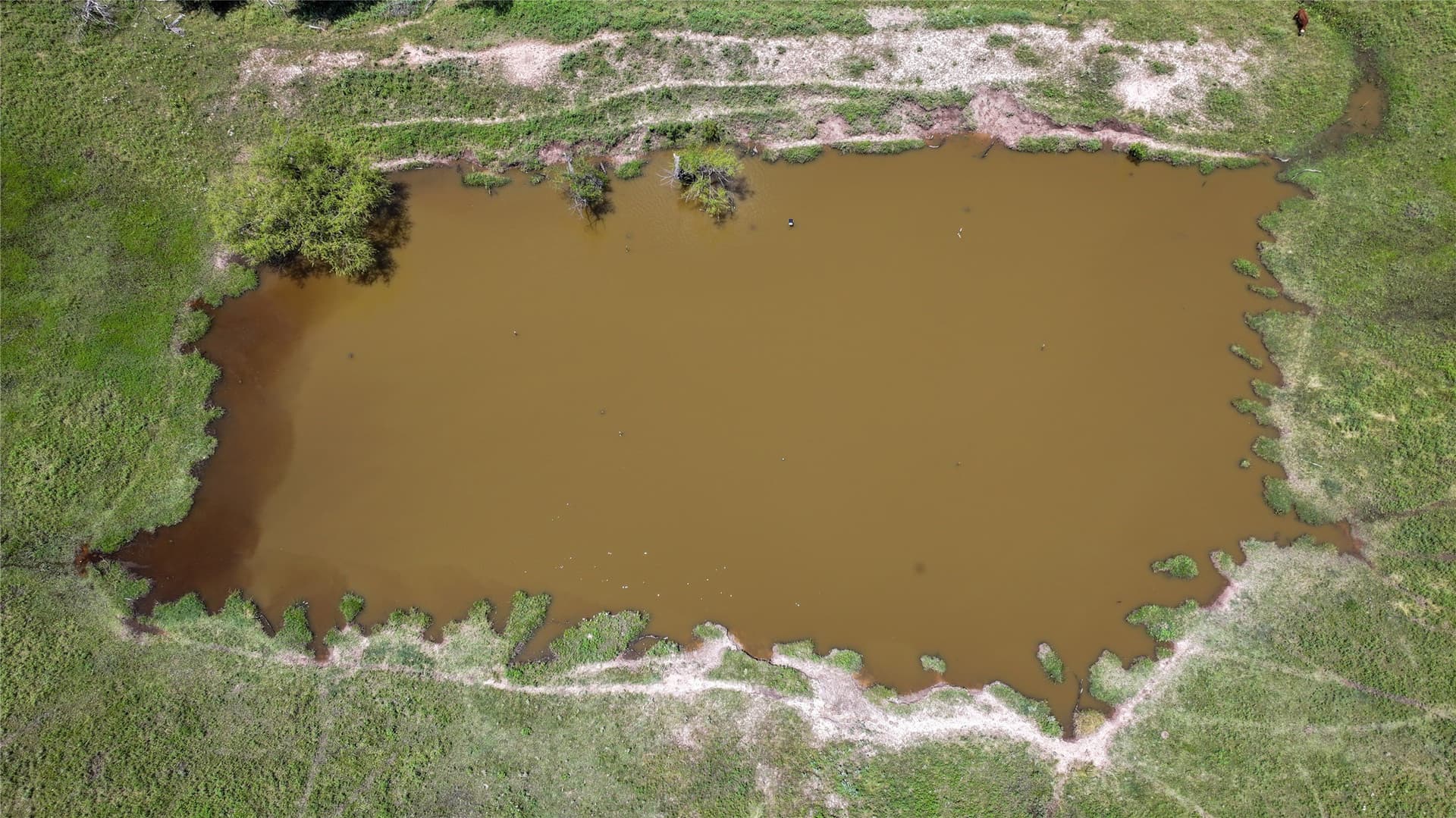59.75 acres in Montague County - photo 6