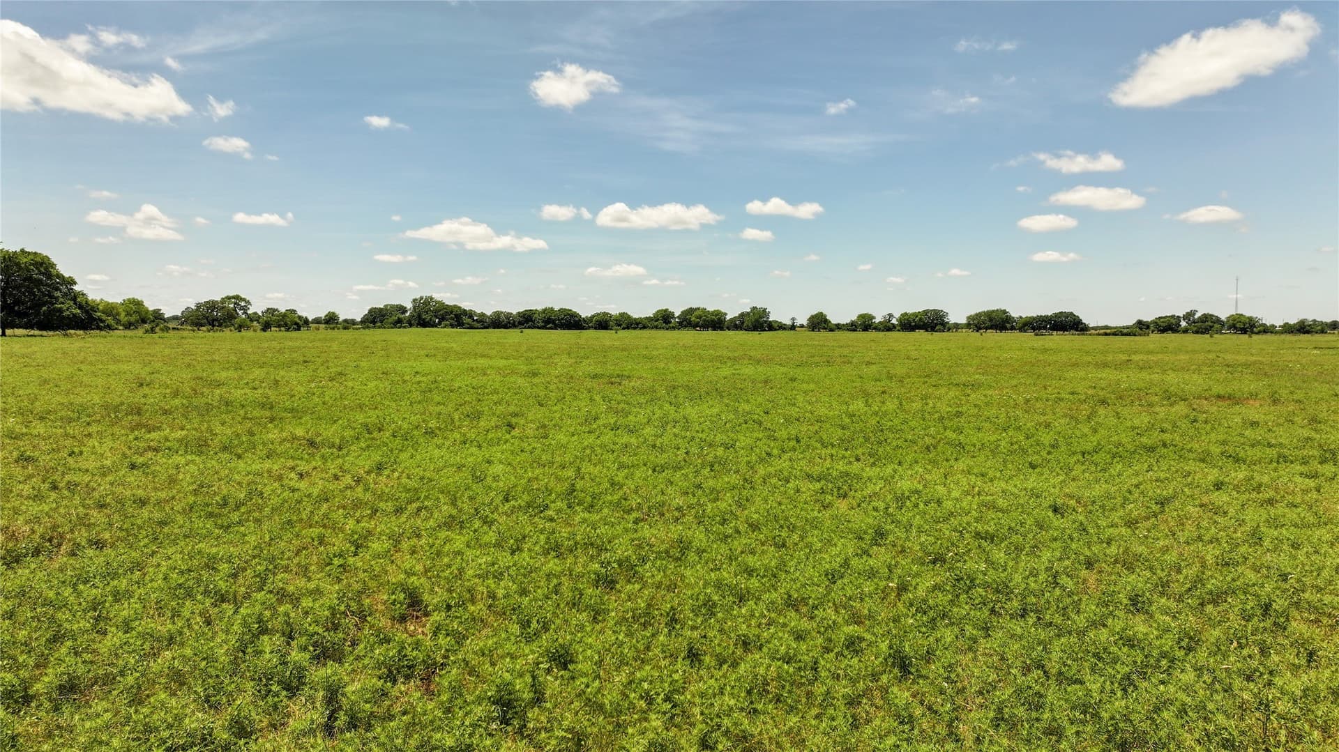 59.75 acres in Montague County - photo 16