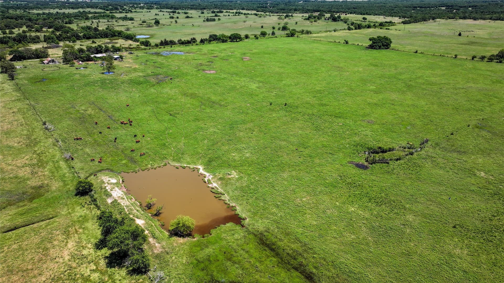 59.75 acres in Montague County - photo 4