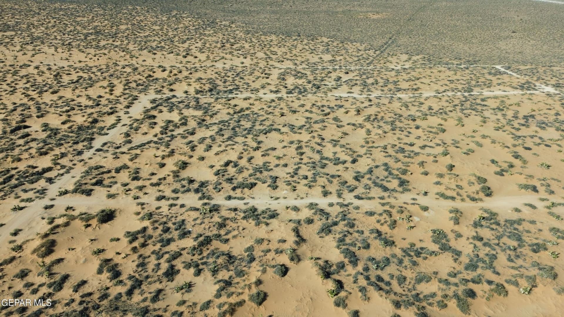 1.65 acres in El Paso County - photo 6