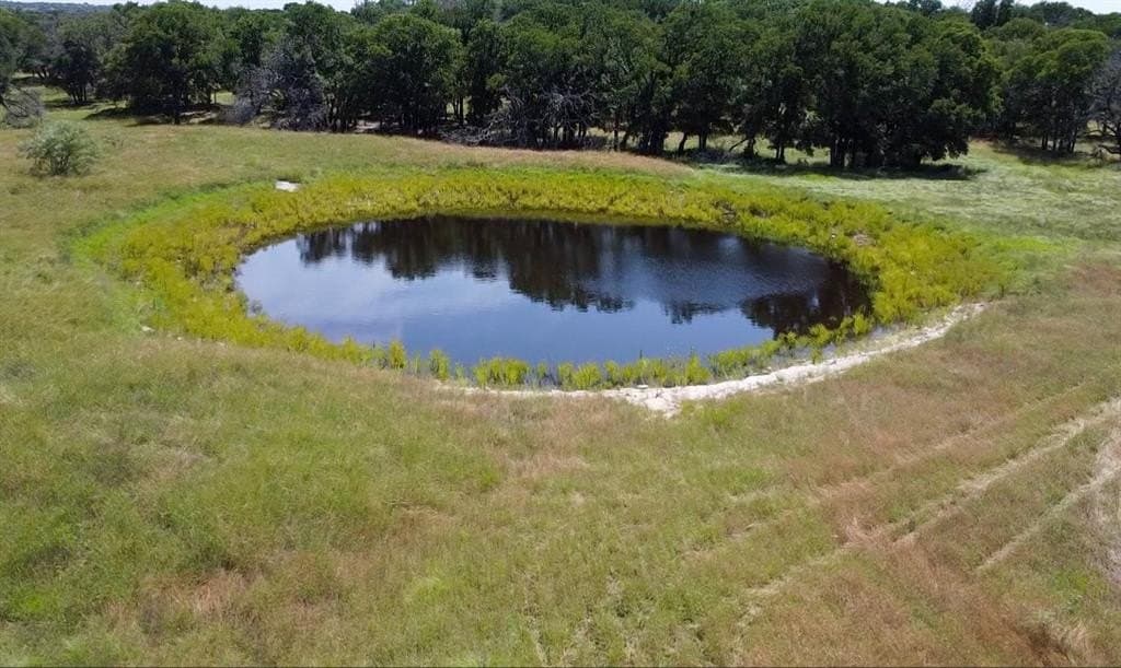 72.12 acres in Coryell County gallery image 3