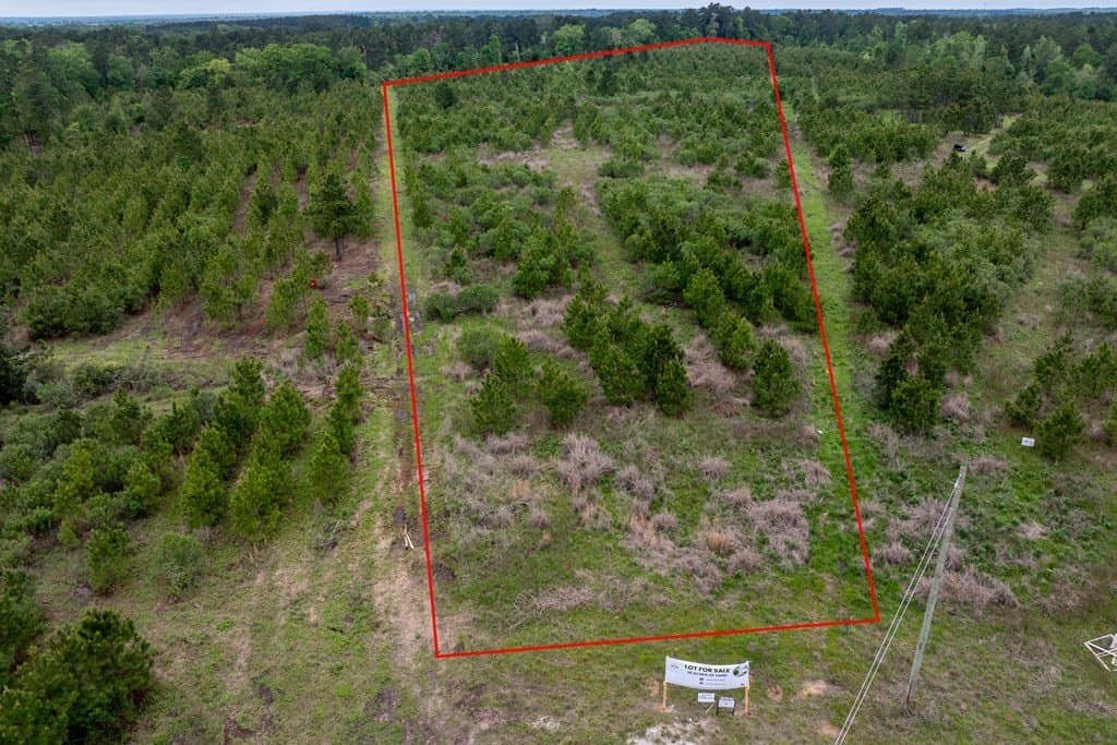 10.01 acres in HOUSTON County gallery image 4