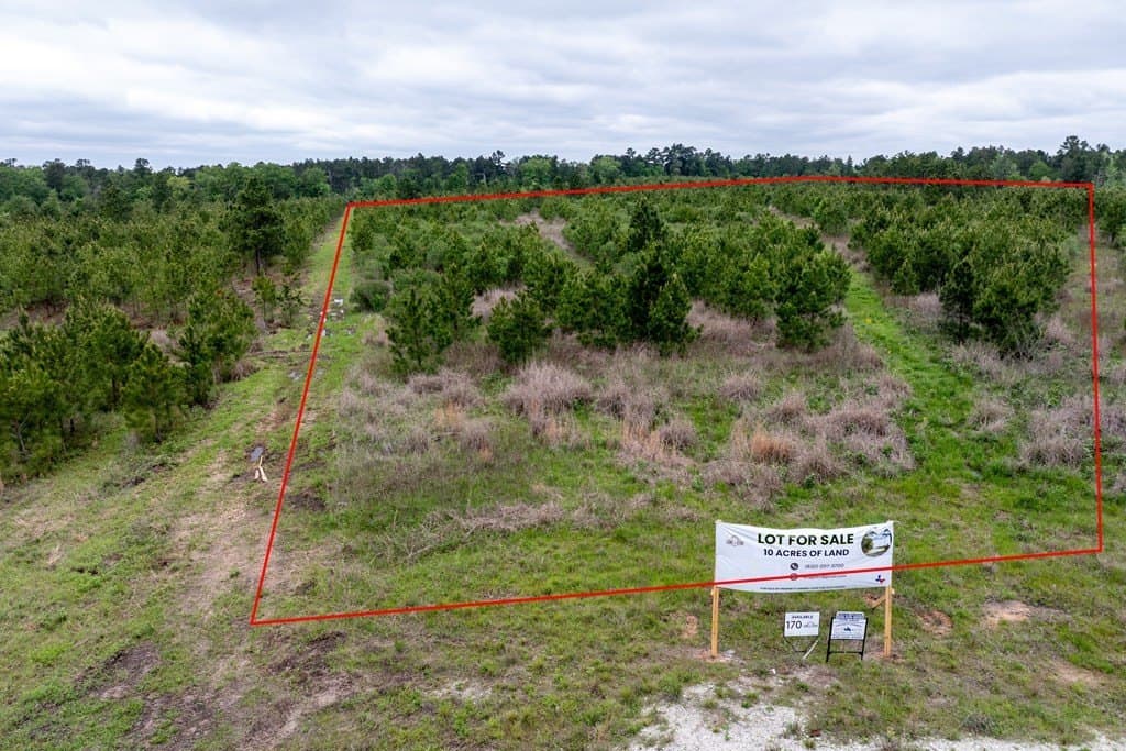 10.01 acres in HOUSTON County gallery image 2