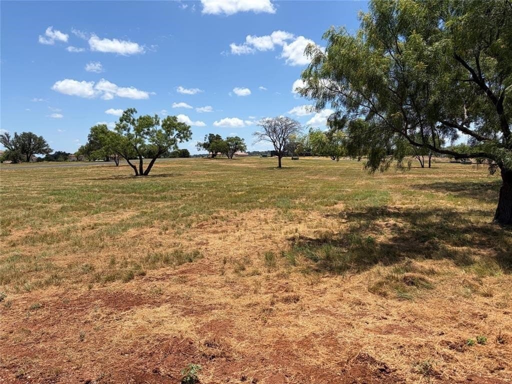 0.31 acres in Llano County gallery image 4