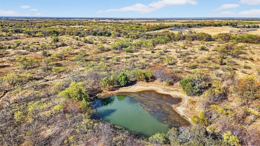 195.55 acres in Grayson County gallery image 2