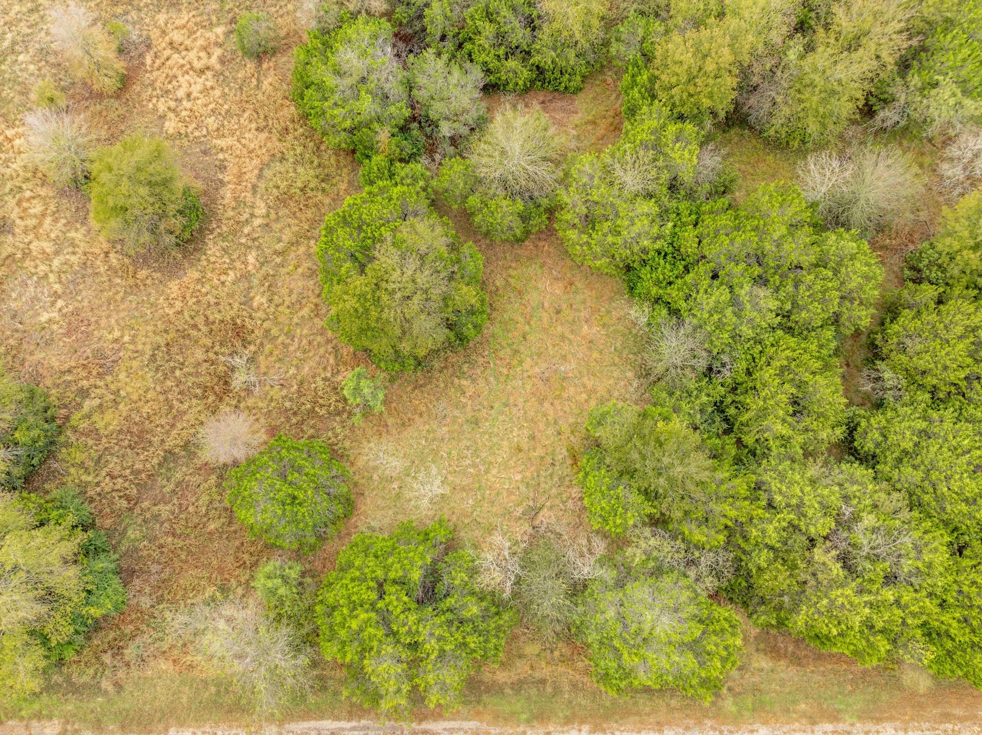 0.28 acres in Hill County - photo 7