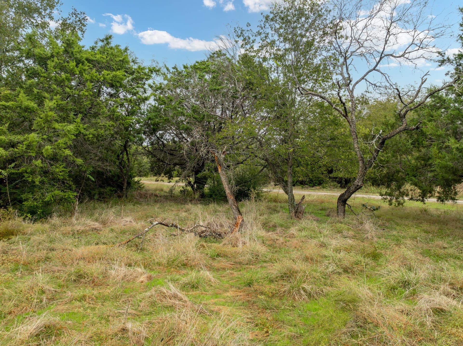 0.28 acres in Hill County - photo 5