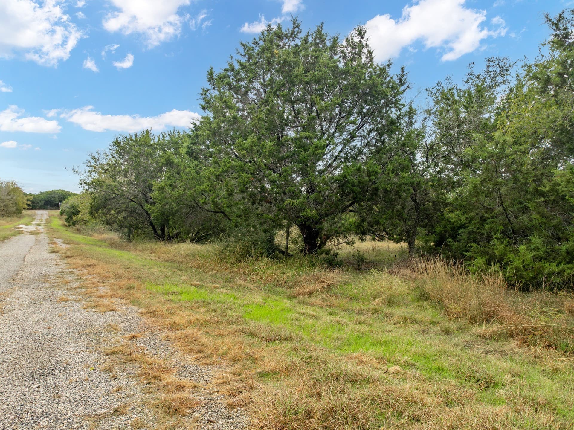 0.28 acres in Hill County - photo 4