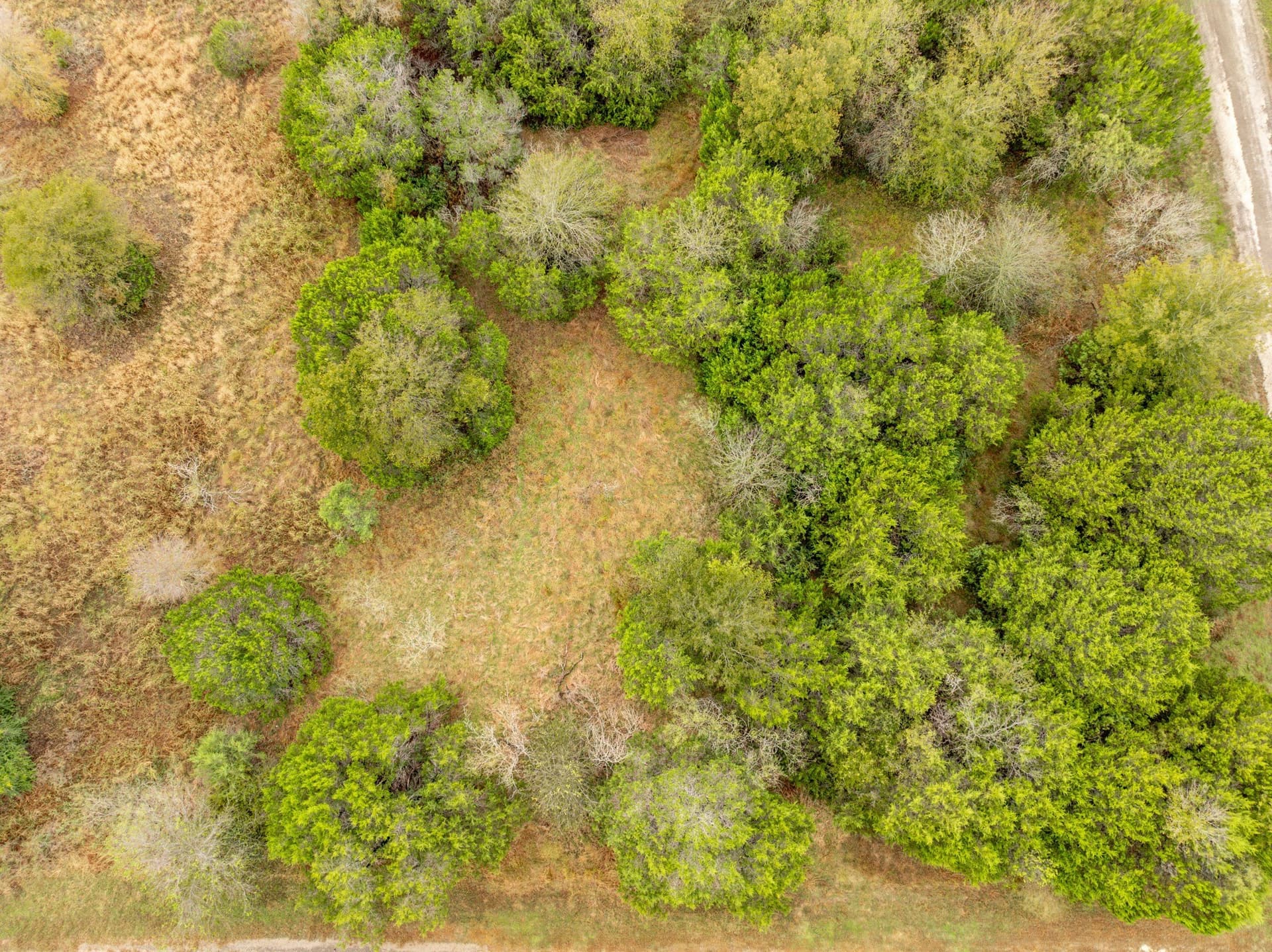 0.28 acres in Hill County - photo 6