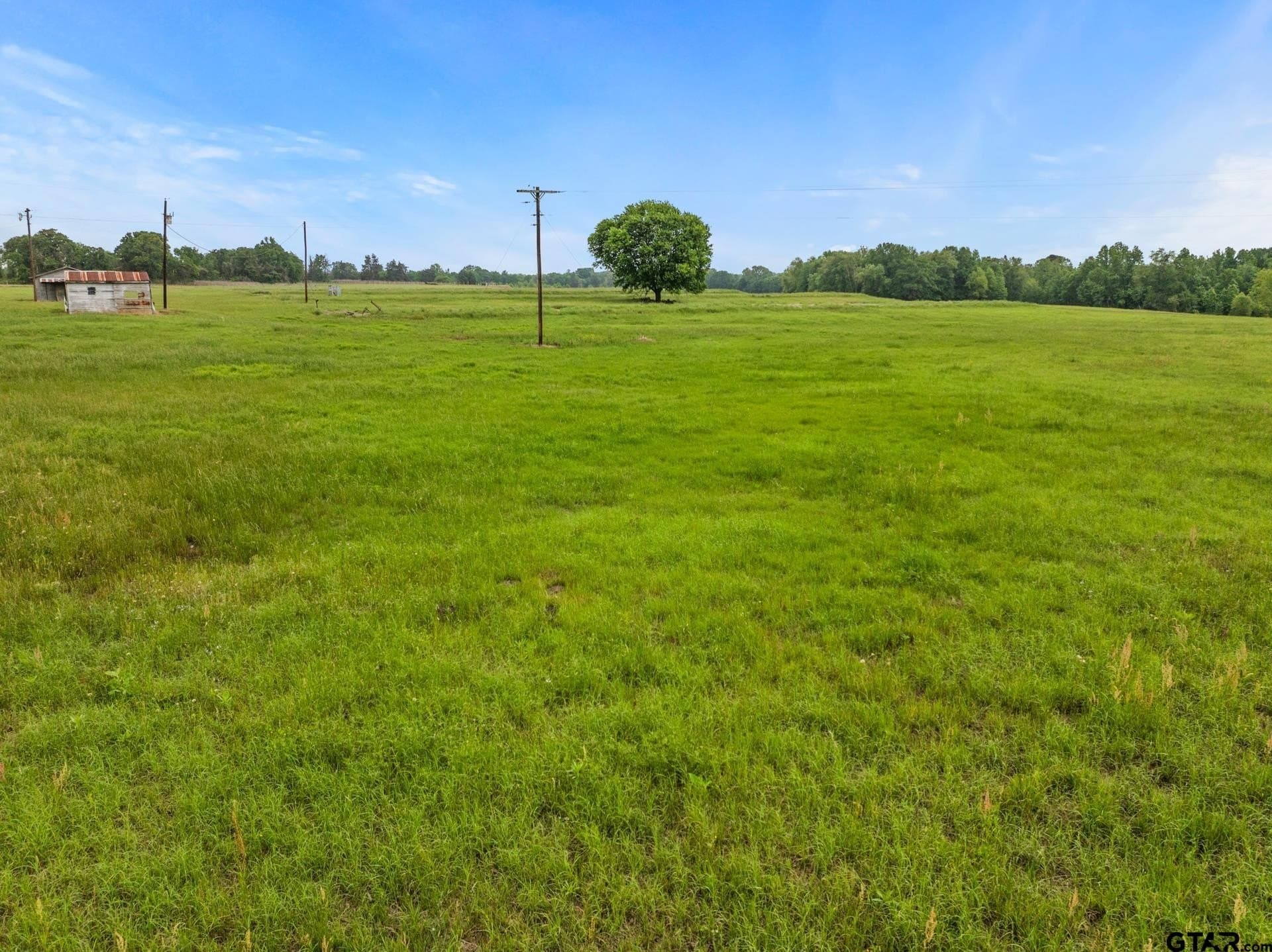 34.04 acres in Camp County - photo 8